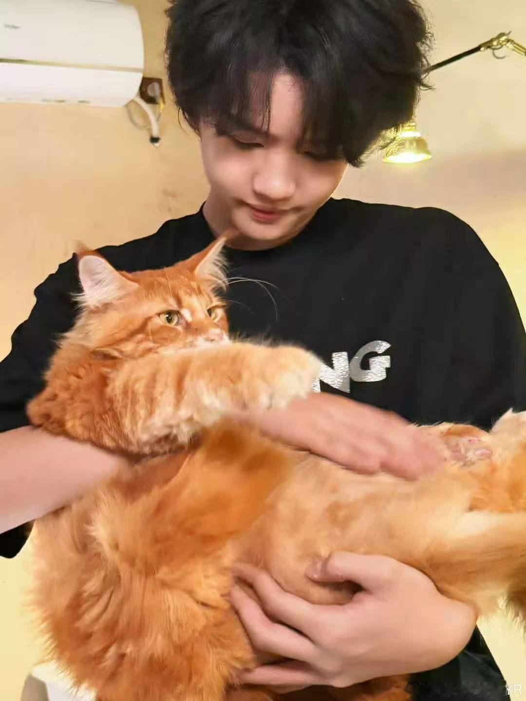 张奕然手机修好啦张奕然又可以拍猫猫狗狗domi来也