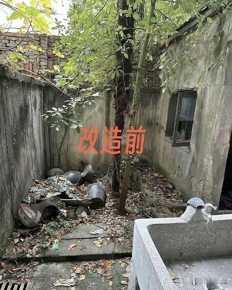 花了两千块钱，你觉得值吗？