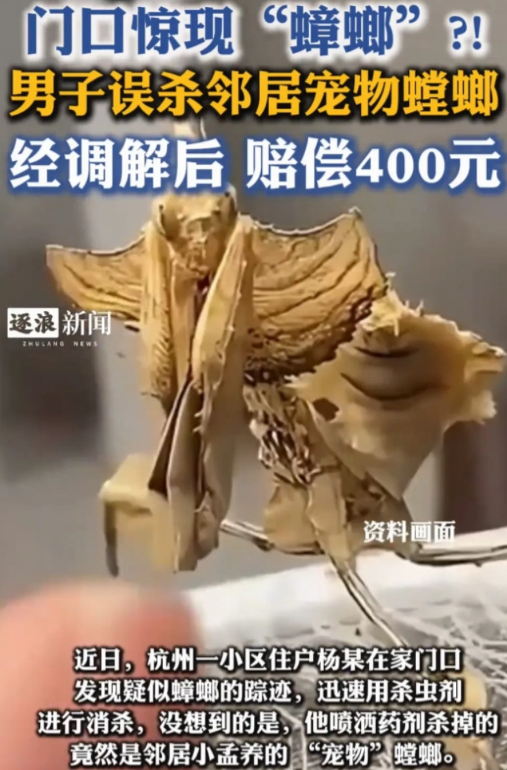 浙江杭州，一男子看到家门口爬着两只浅色虫子，天黑也没多想，随手就拿杀虫剂给喷了。