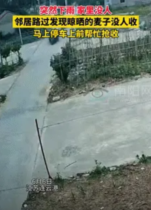 “远亲不如近邻！”江苏连云港，一对夫妻带着小孩在城里读书，出发前他们把麦子摊在了