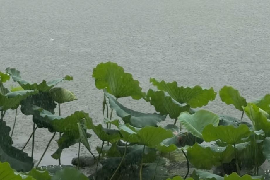 你越这样说，男人就越怕失去你，？在感情里，如果他忽然冷落你了，你就说的几句话，