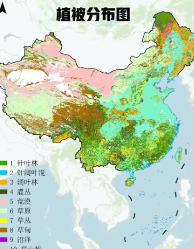 西北地区的荒漠化，仍然很严重。看看内蒙古的西部地区，新疆地区的绝大部分地区，那都