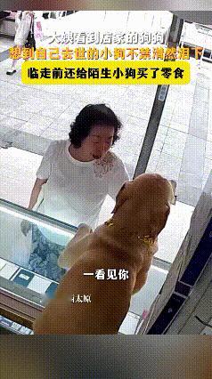 谁看了不心疼啊！山西太原这位大姨，进店里买东西，瞅见店家的狗狗突然就