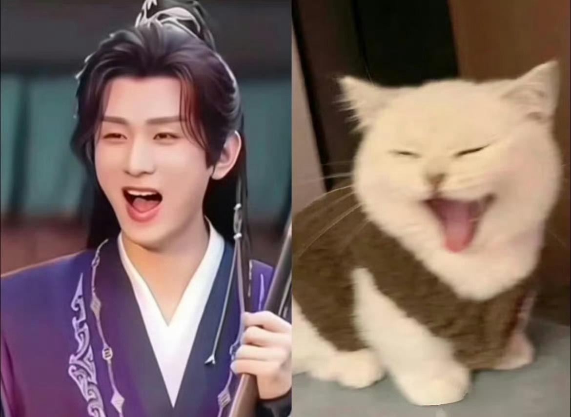 电视剧两京十五日不是，为毛一模一样啊？不行了，哈哈哈……实在太萌了。@成