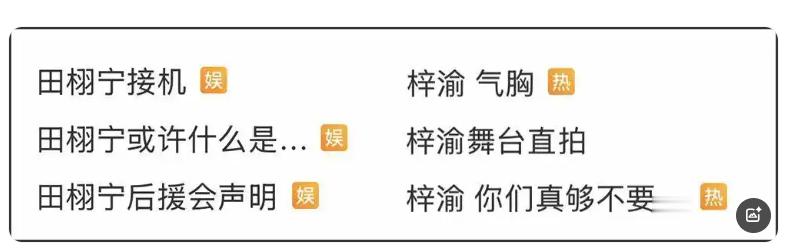 田栩宁因被传结婚生子而引发公众热议，其社交账号的置顶照片引发争议。事情发酵后，粉