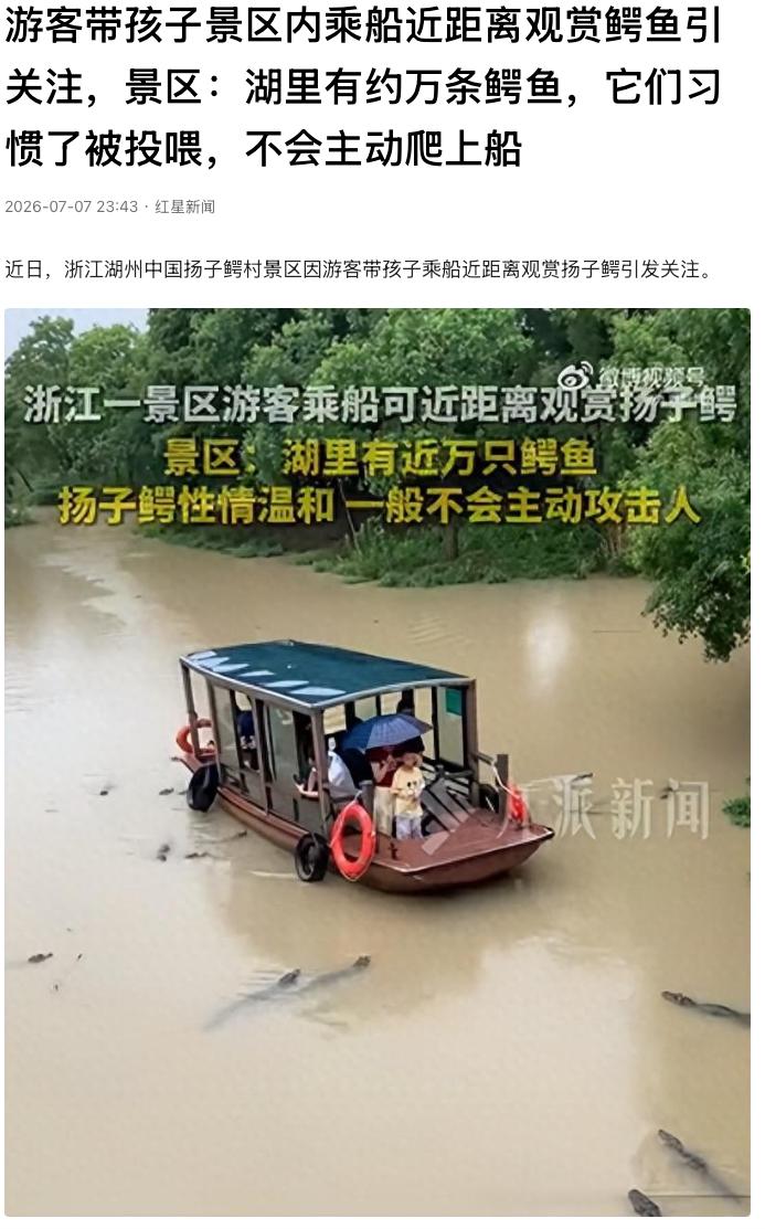 “这么危险不禁止？”浙江湖州，一景区游客带着孩子坐船，近距离看湖里的扬子鳄，船边