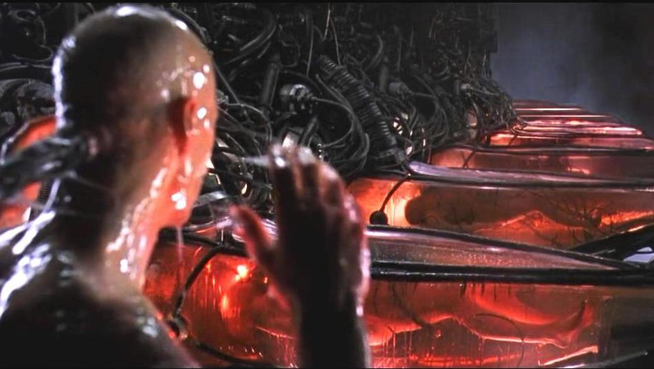 12049010428876160828.jpg?id=0