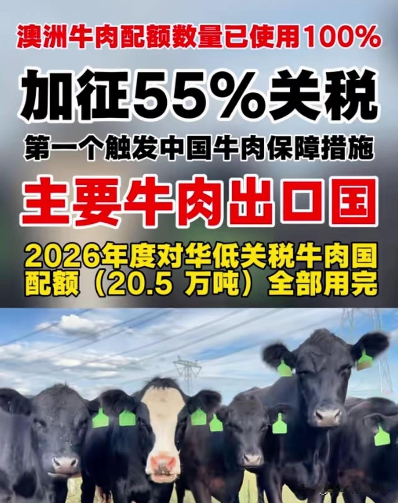 今天起，对澳洲牛肉加征55%关税！你的牛排要涨价了，但更大的棋局在后面6月2