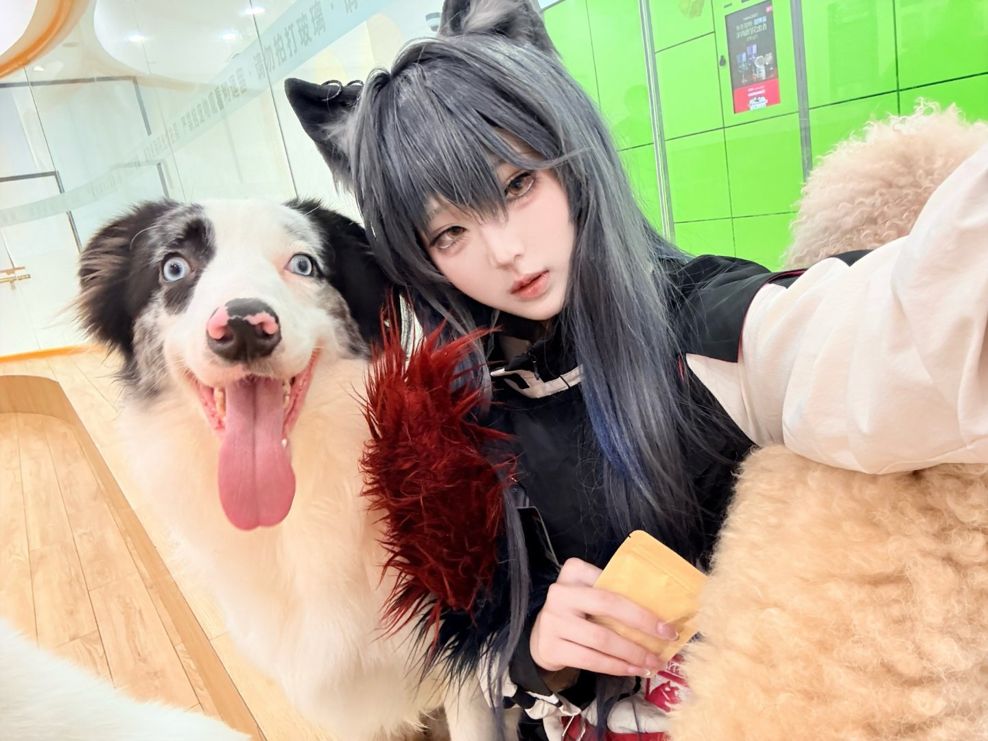 啥子。？德克萨斯cosplay