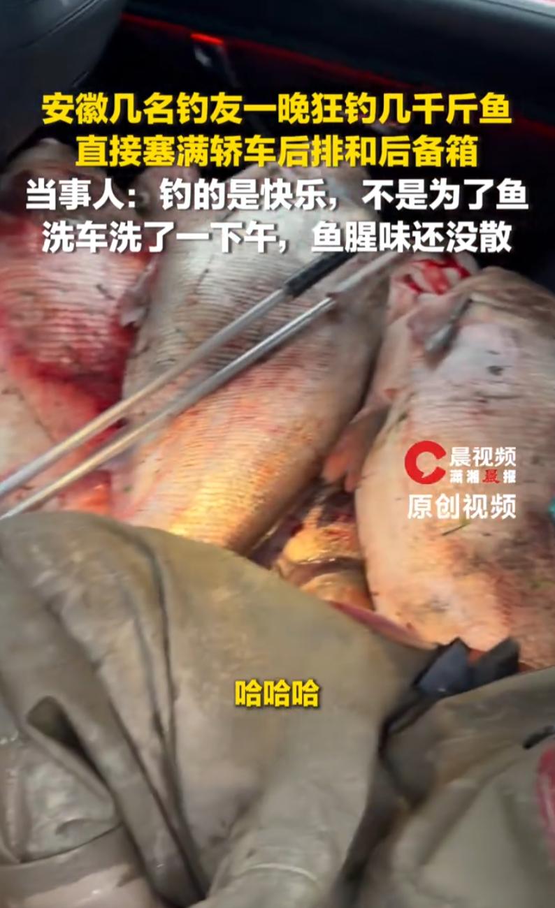 这真是钓鱼吗？安徽几名钓友到江苏常州去钓鱼，一夜之间竟然弄了上千斤的鱼，几个人干