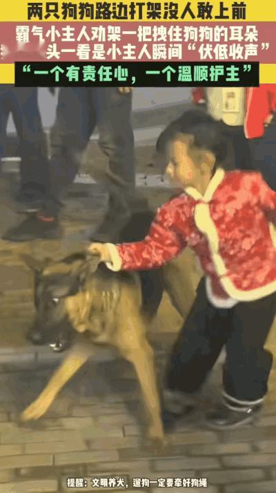“笑不活了！”湖南，两只狗狗在路上突然打起来，围观的大人都不敢上前，没想到人群中
