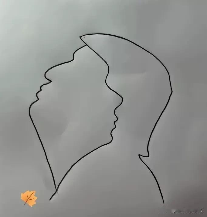 普特会结束了，有朋友画了一幅画，把两位总统深度融合在了一起，我给这画打满分，大家