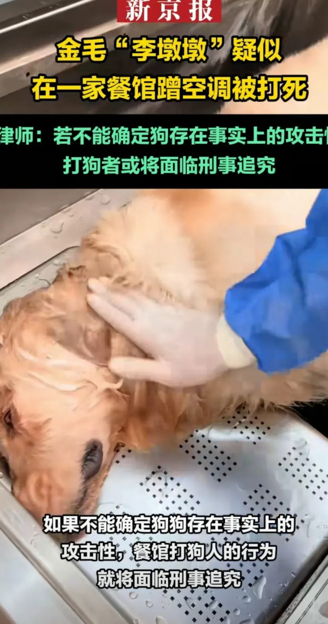 人不如狗啊！青岛大学宿管大爷被热死，没有单位承认大爷是自己的员工!这边死了一