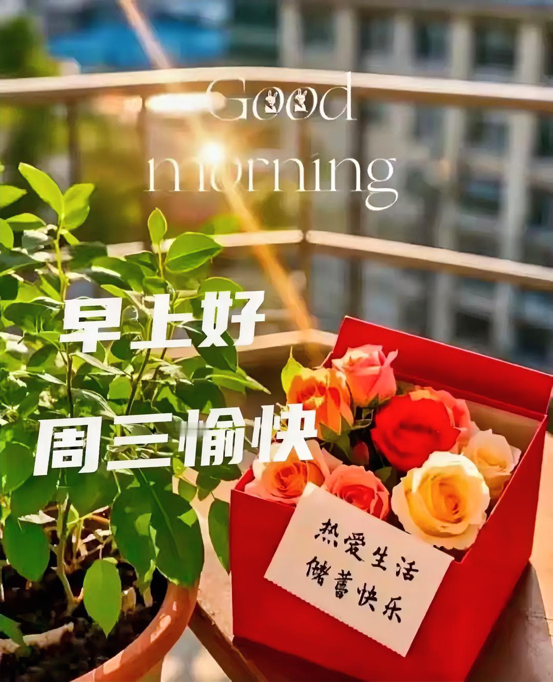 心怀美好，储蓄快乐，周三愉快，早上好！秋日生活打卡季分享一张你在新疆拍的照片