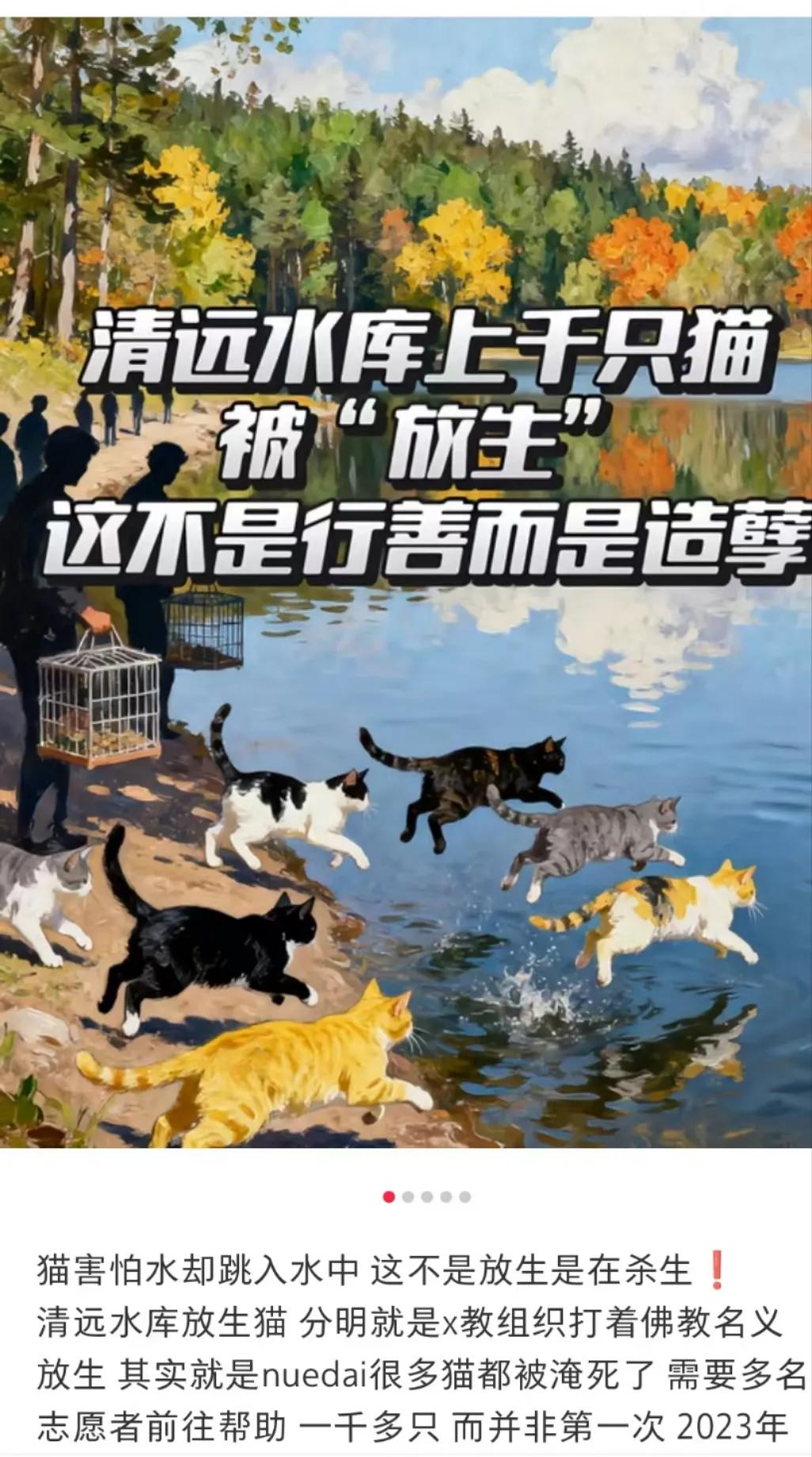 看得我血压飙升，这是放生吗？看放生的人搬笼子，我没哭看猫咪被赶出来乱窜，