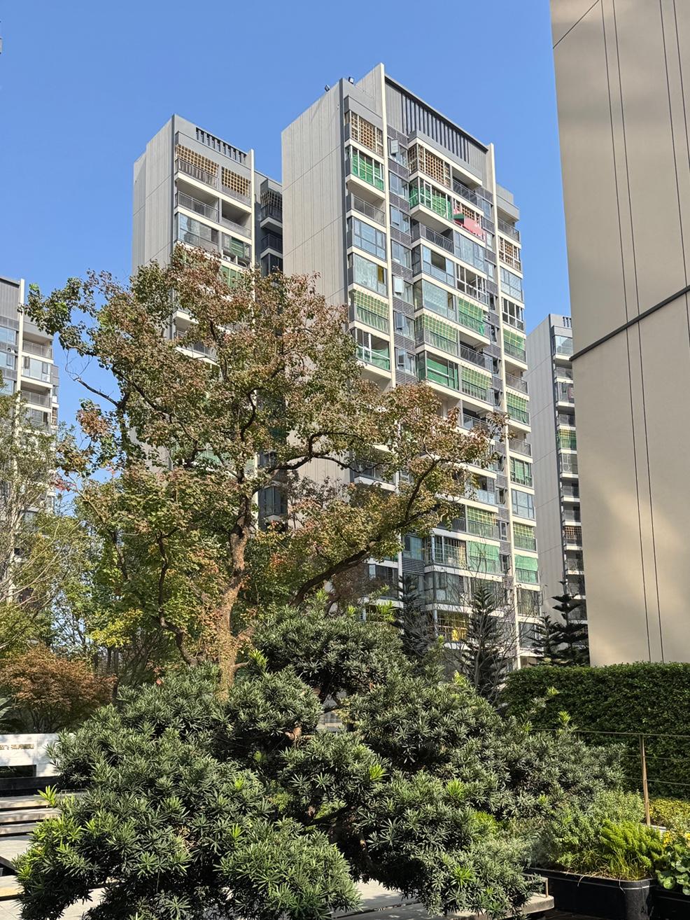 时至今日，依然在唱衰楼市的人该当心了！继上海之后，北京也出手整治了一批唱衰楼市的