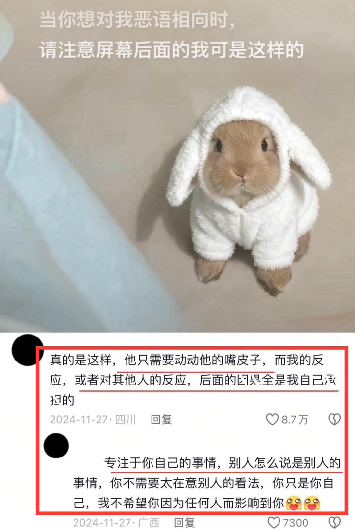 每当内耗的时候，我就会回来看这个评论区……