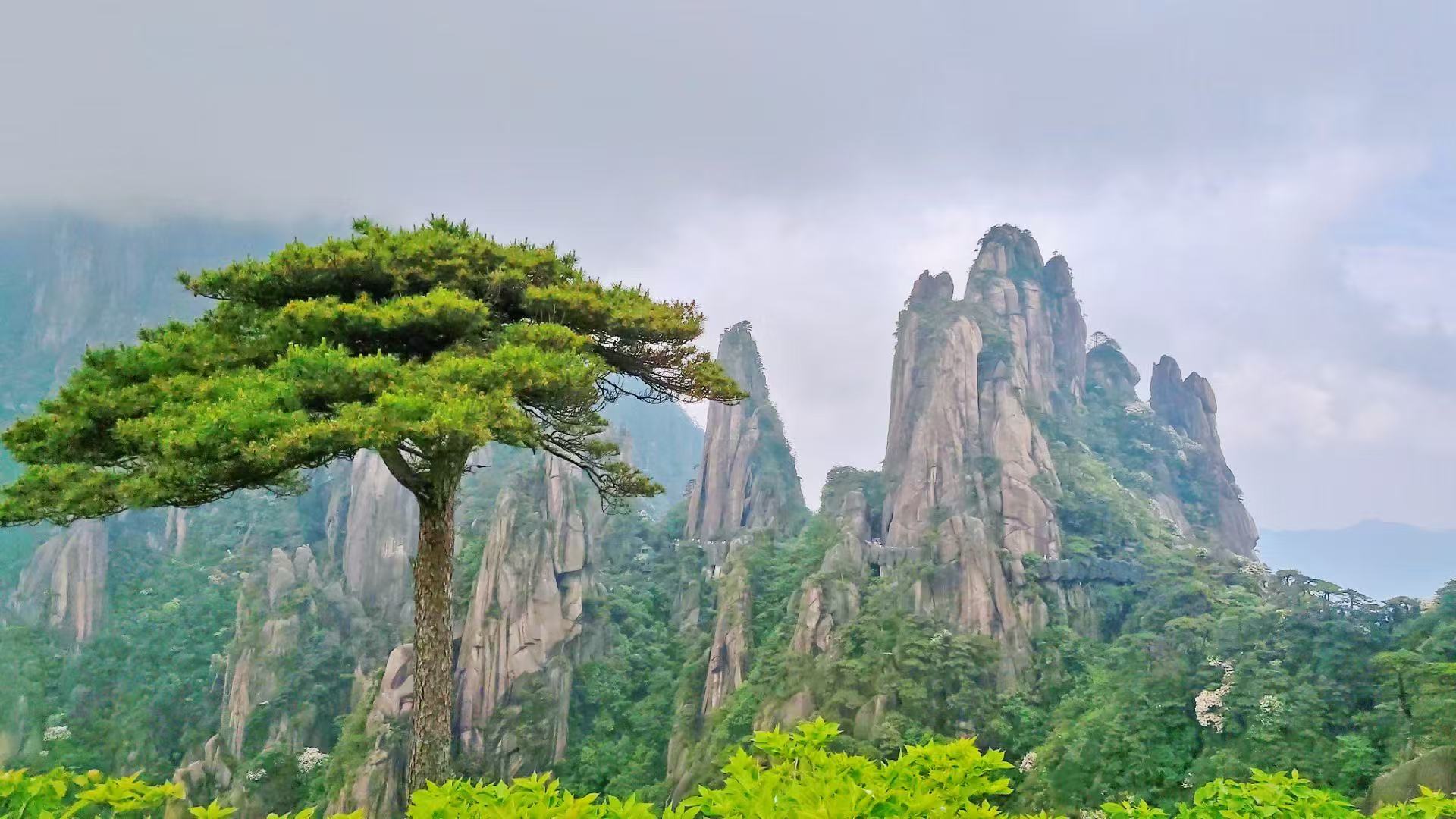 五岳归来不看山，黄山归来不看岳⛰️，安徽黄山值得打卡！
