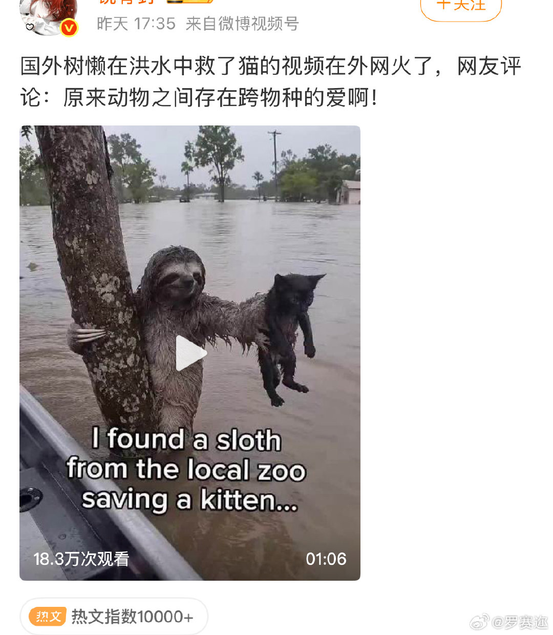 想杀了这些搞AI动物视频的人。​
