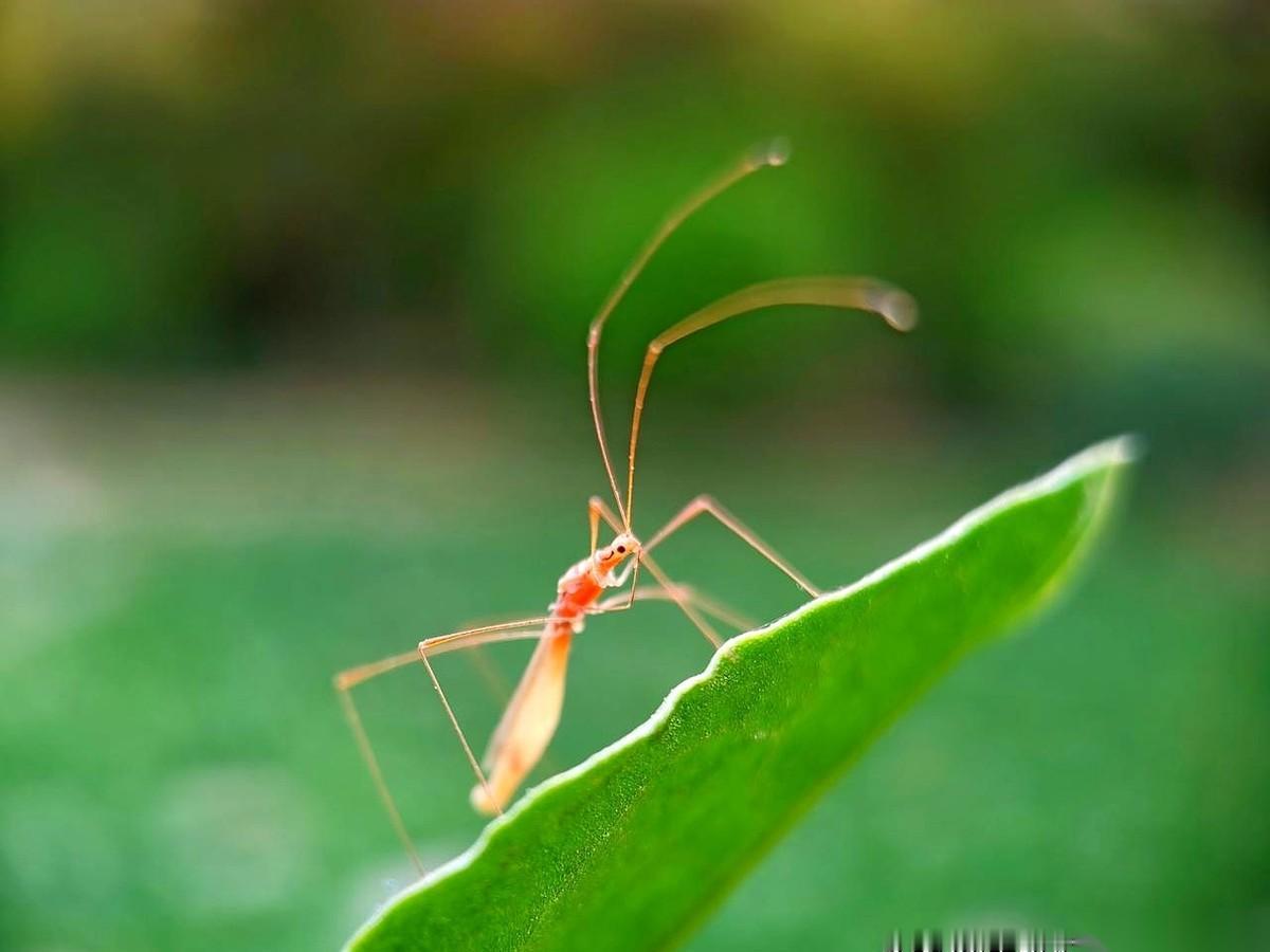 36.17！就差那么一点点，我就扑上去了。心一下就顶到嗓子眼了。真的。看着