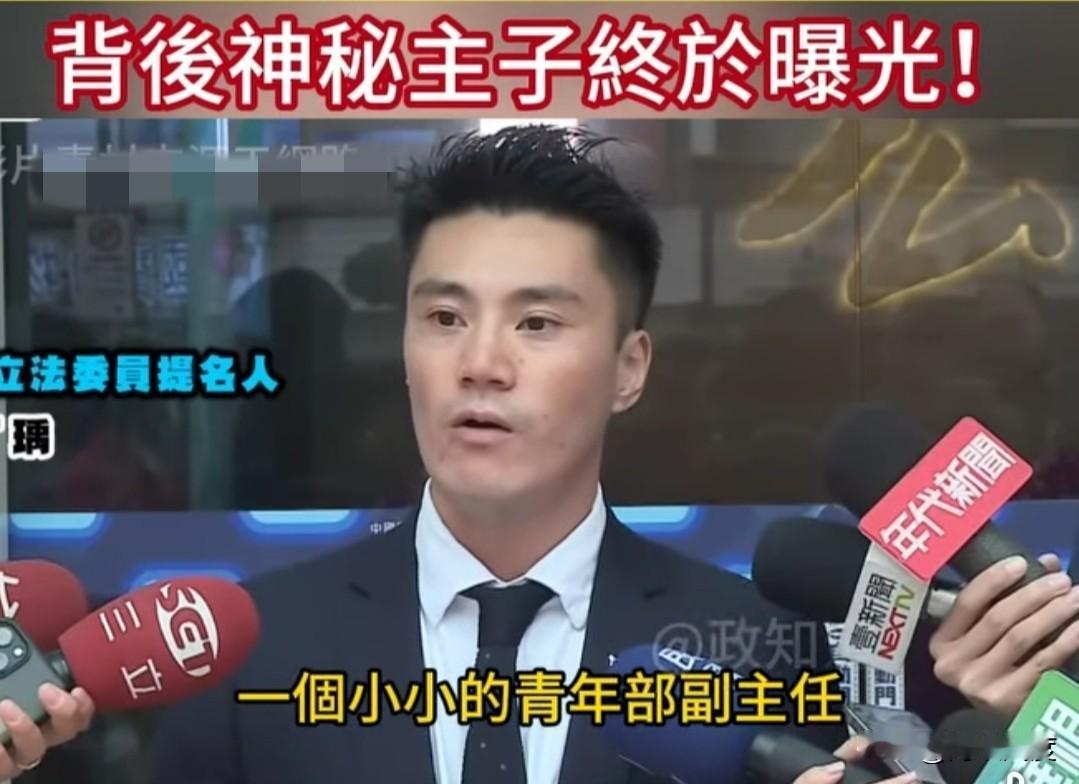 郑丽文访陆，国民党内达成高度共识，这个小内奸、小太奸丁瑀又出来喷粪了！一直不解郑