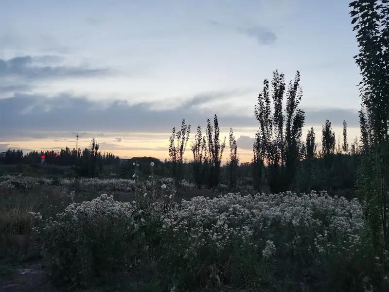 双鱼座的绝情，真的能让人惊掉下巴。很多人觉得双鱼温柔、重情，甚至有点恋爱脑，可一