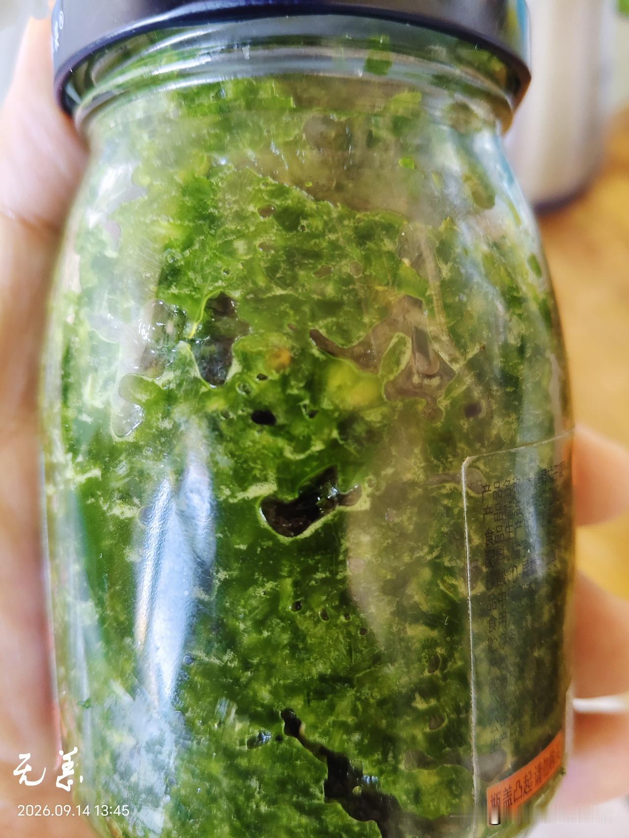 2026.9.14星期一十几天没管理小菜园了，韭菜和草一起老了，草结它的种