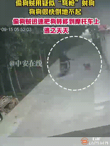 山东一户人家门口，清晨5点多的时候，一名男子骑着电动车，手里还拿着弩枪，见到一只