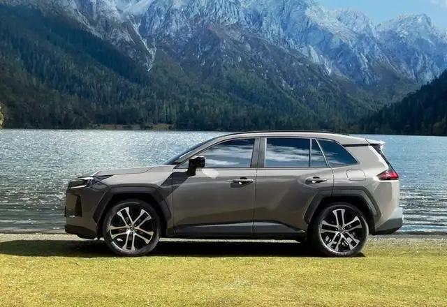 根据专家预判，未来中国汽车市场将呈现强者恒强的态势：一、 红旗汽车：100%存