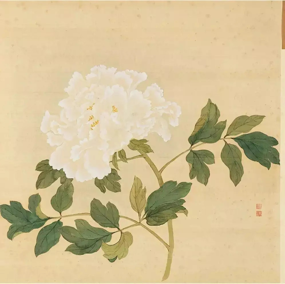 蒋廷锡没骨《百种牡丹谱》。蒋廷锡（1669—1732），江苏常熟人。是清朝重要
