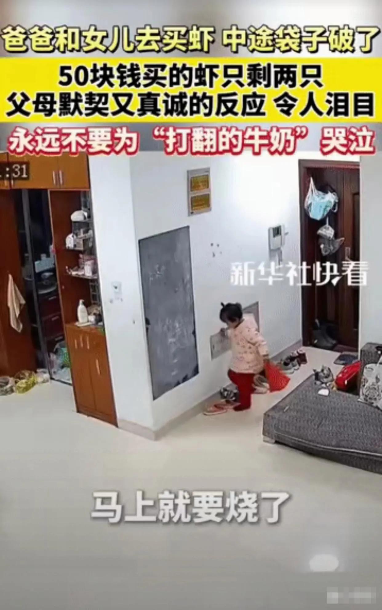 50块虾全漏光！安徽爸妈的反应绝了，网友：这才是最好的家庭教育谁懂啊！安徽