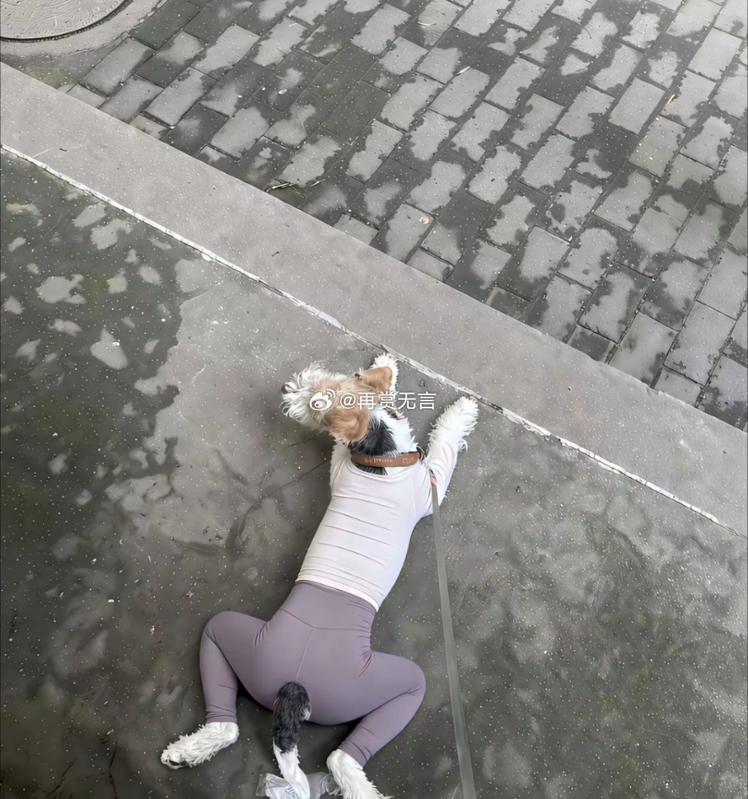 这身材，狗不狗的都无所谓了