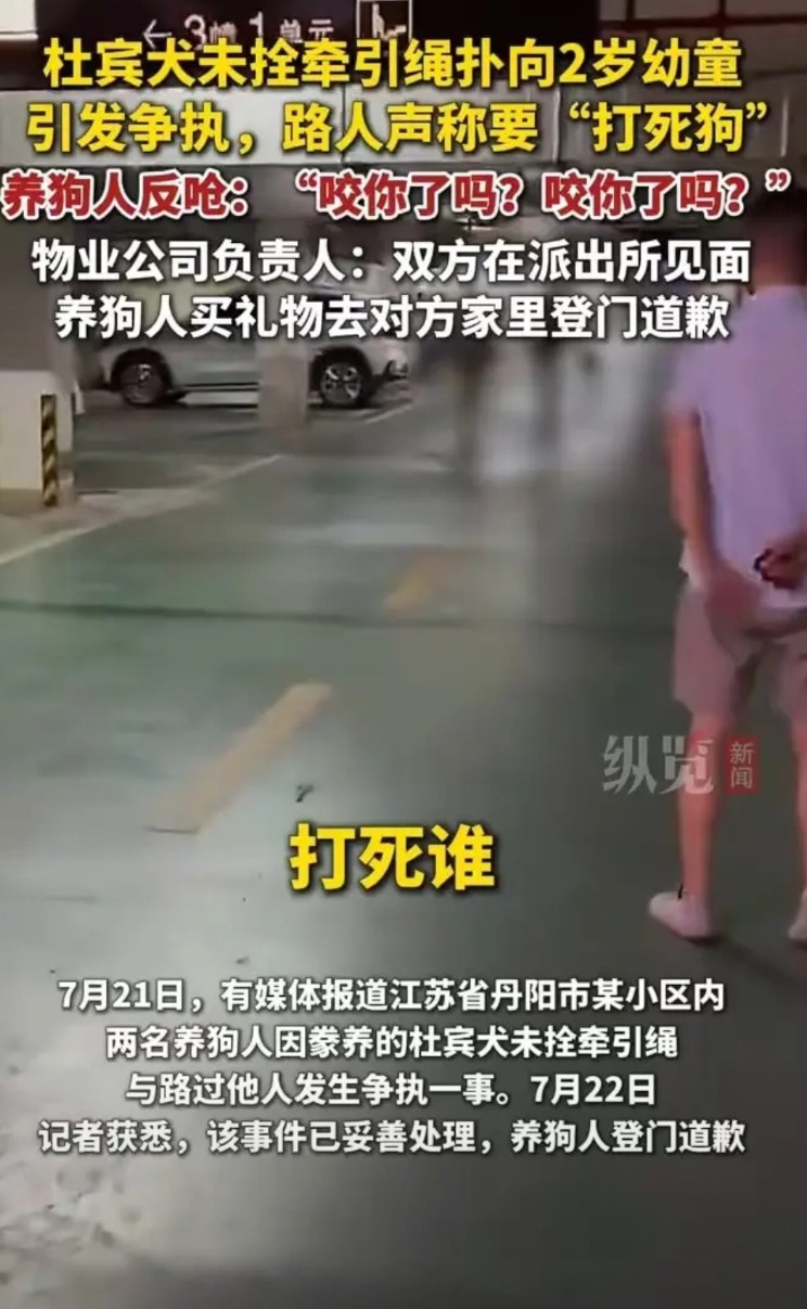嚣张的狗主人，网暴她都算轻的。啥叫妥善处理，为何不公开违法养狗是怎么处罚的？对