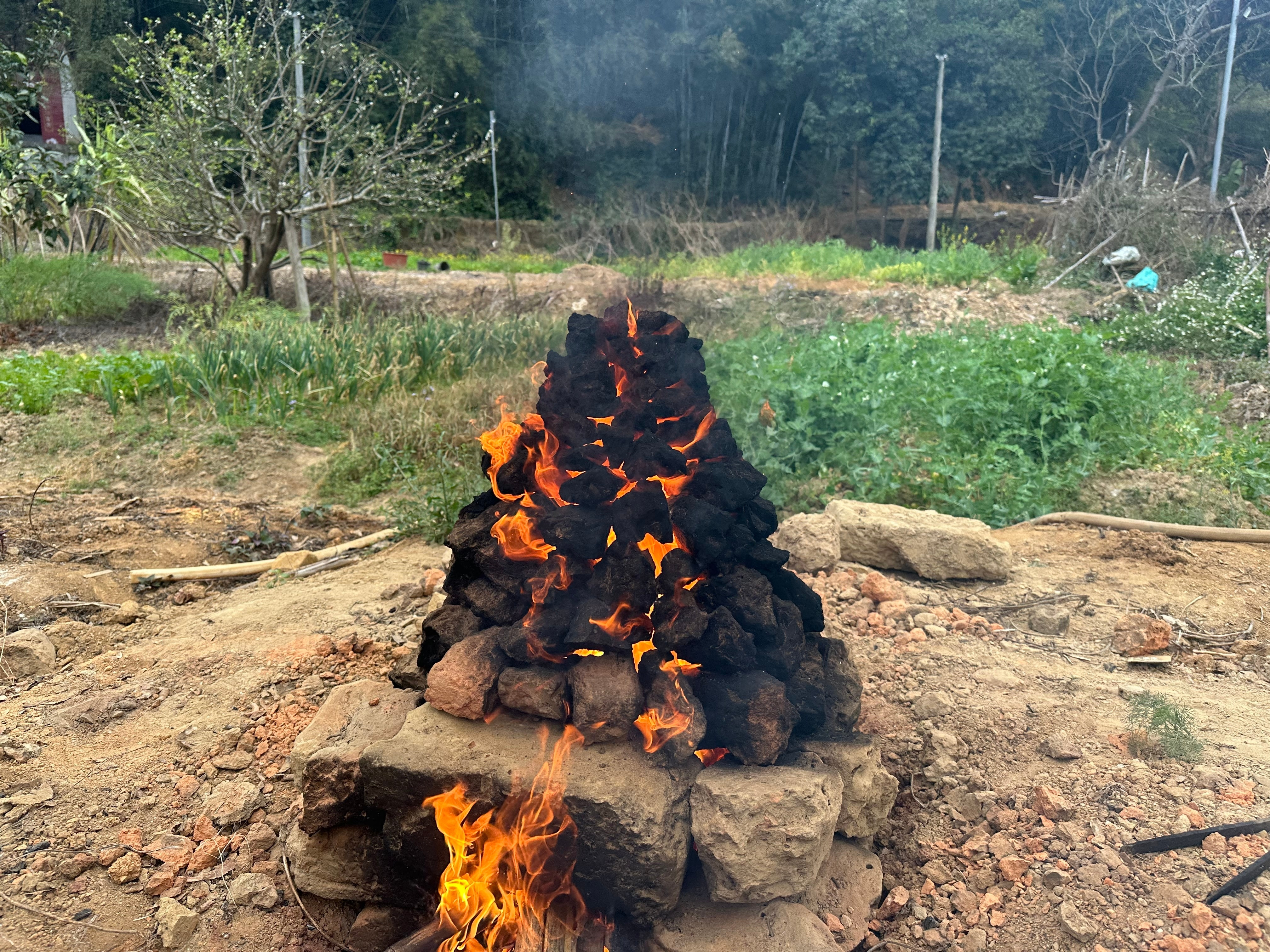 这只鸡，是不是隔着屏幕都能闻到香味？