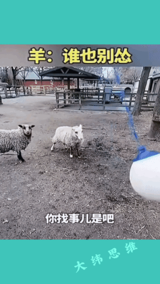 这才是铁磁，遇到事就真上啊！