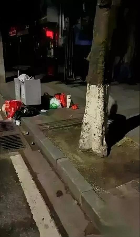 半夜遇小猫坐得笔直旁边摆着猫碗和玩具这是被「体面遗弃」的小家伙？看它乖乖