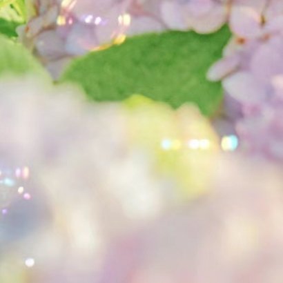 2200种植绣球花的种植方法一、腐殖土壤绣球花在腐殖土壤上生长最佳，需要选取3
