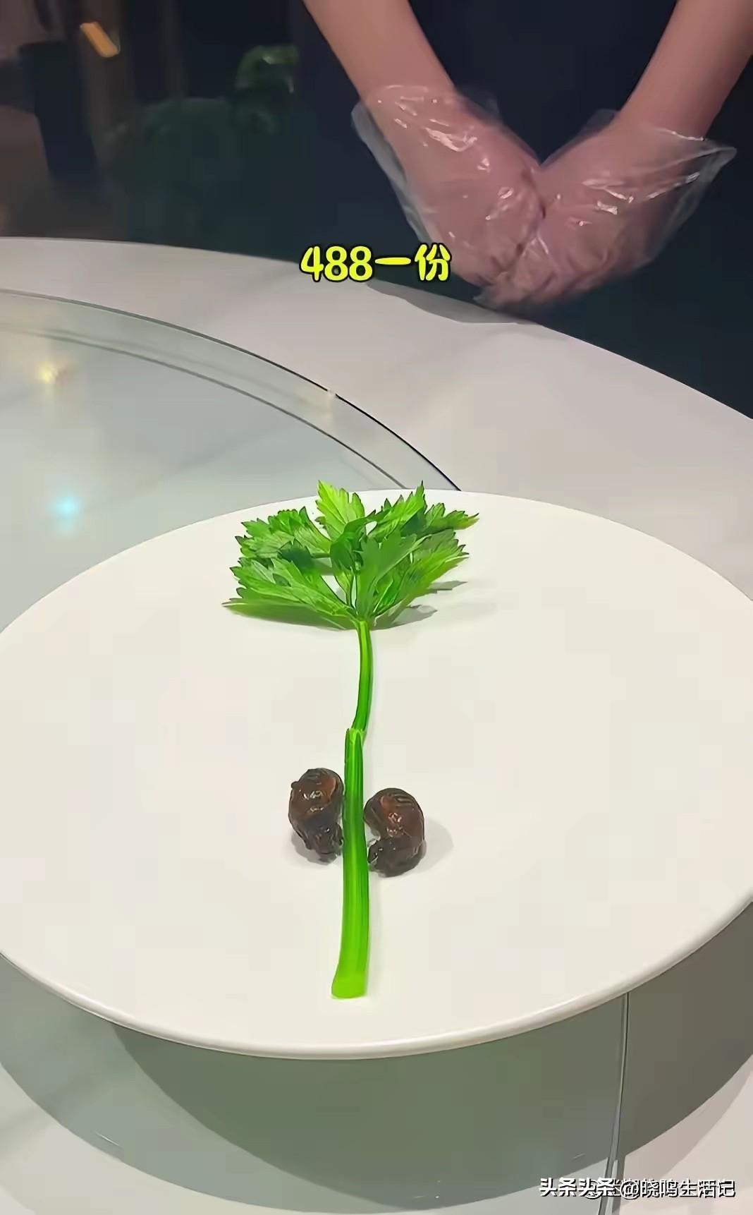 太贵了不吃，知了猴一块一个，芹菜2块一把，自己做饭吃着不香吗[呲牙笑]