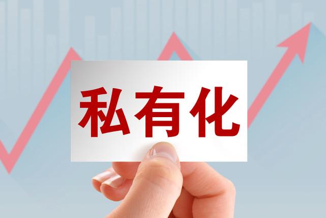 私有化：无论是哪个国家，哪个社会，只要是私有化，财富最终一定会汇集到精英和权