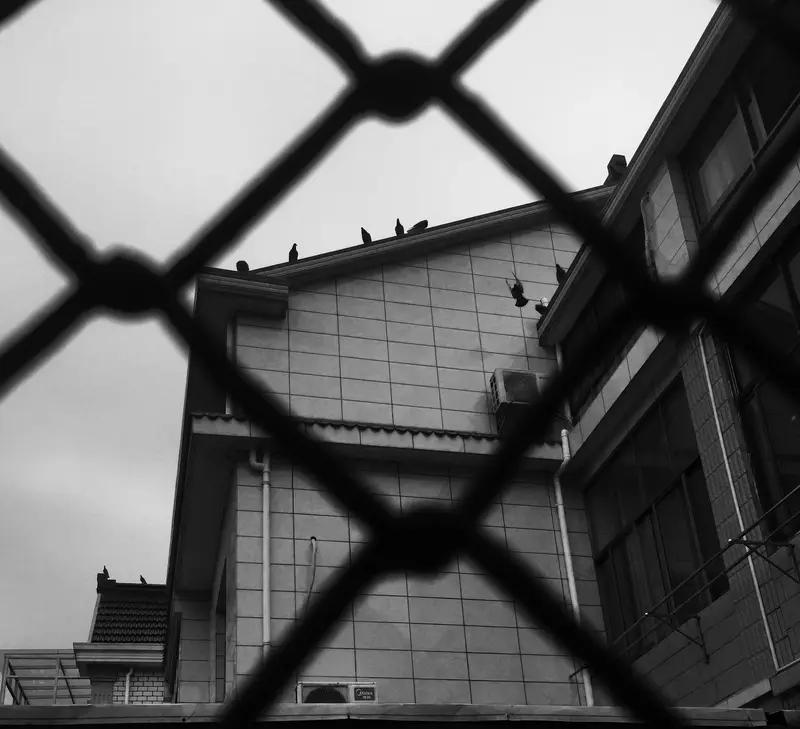 【邻里恩怨引发血案：一场因占地和猪栏引发的悲剧震惊社会】浙江某市，一起令人震