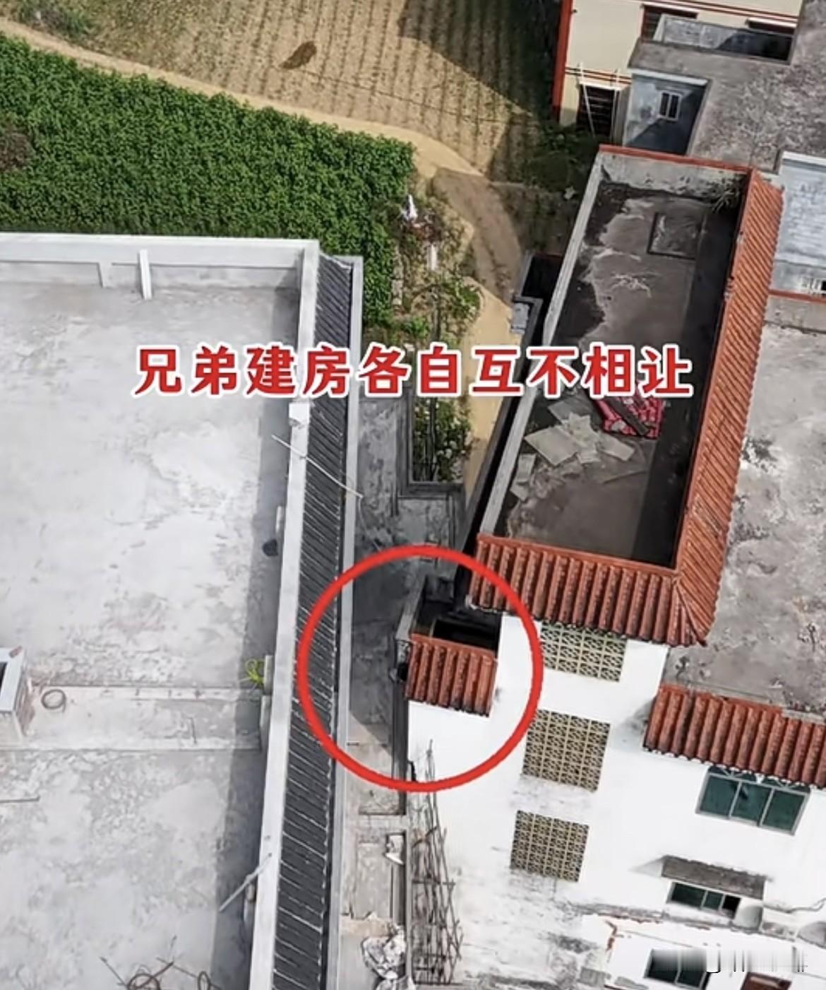 兄弟建房各自互不相让，都说打虎亲兄弟怎么能这样。让他三分又如何‼️非得要这