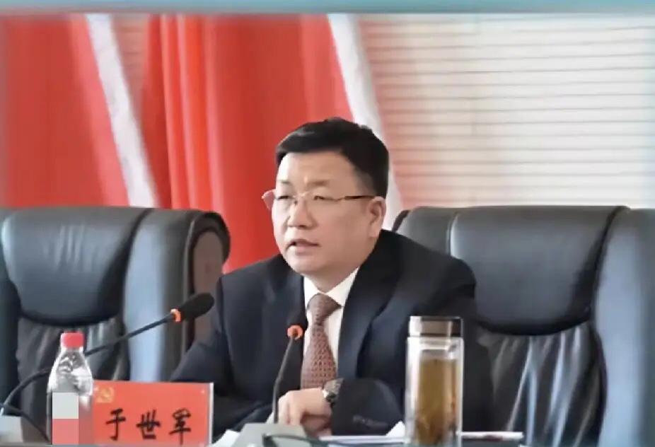 黑龙江反腐再发力，58岁厅级干部于世军落马引人深思黑龙江这阵子的反腐动静真不
