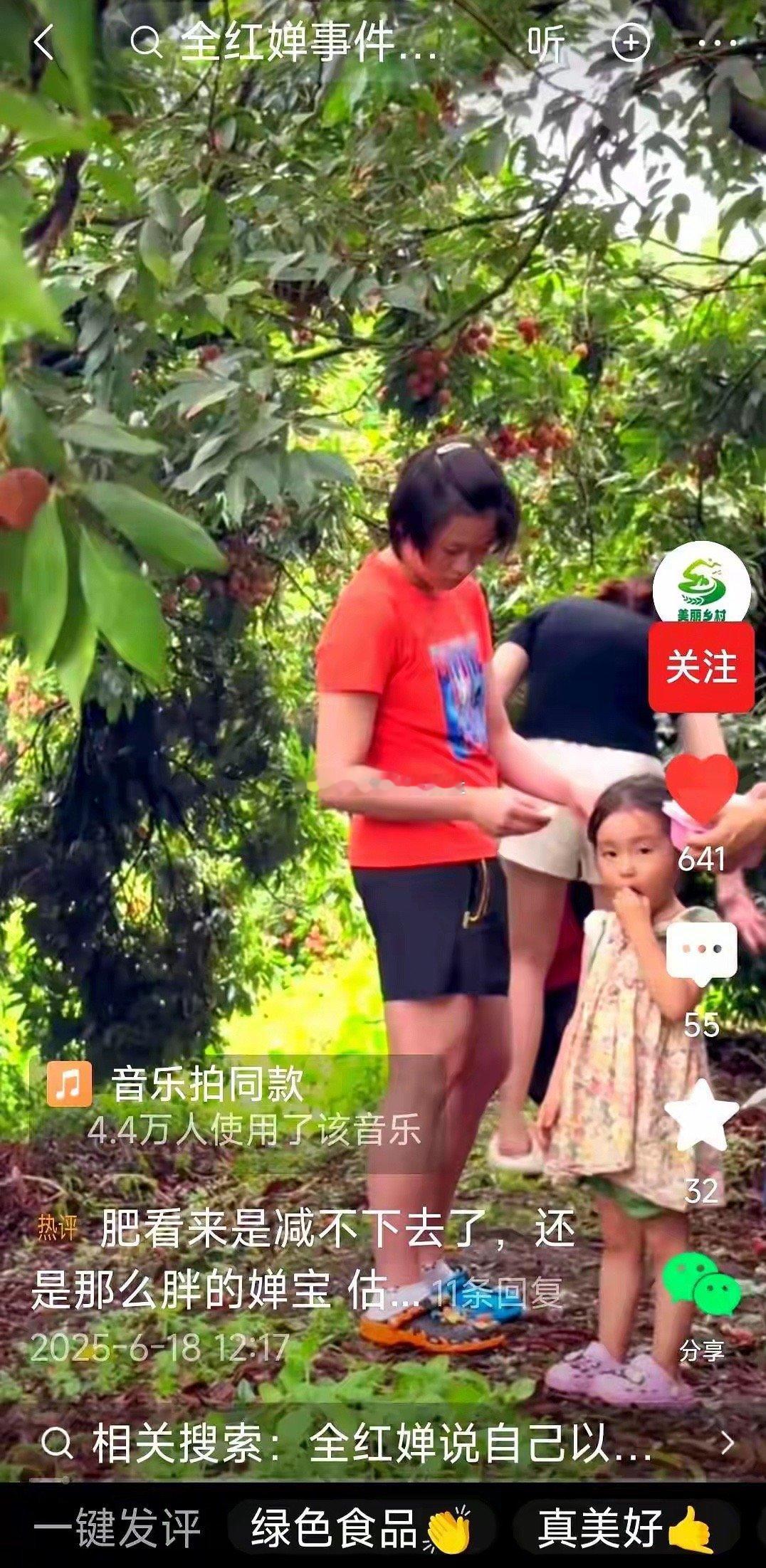 6月18号，全红婵回到了湛江迈合村她的家，她爸和她哥在摘荔枝，婵宝在荔枝树边带着
