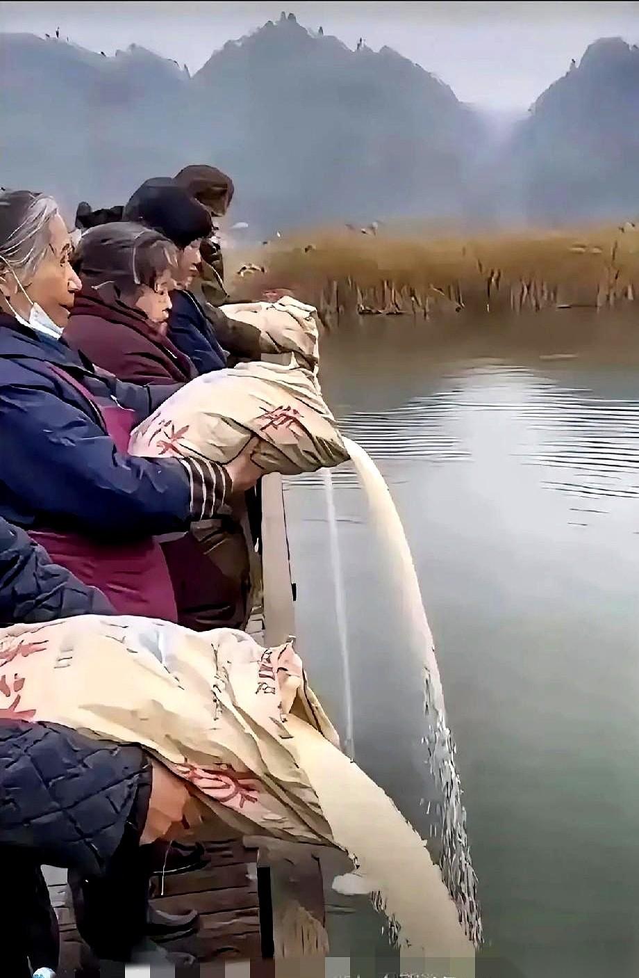 我今天，真是活久见。把一袋一袋白花花的大米，哗啦啦全倒进河里。说是“放生”。