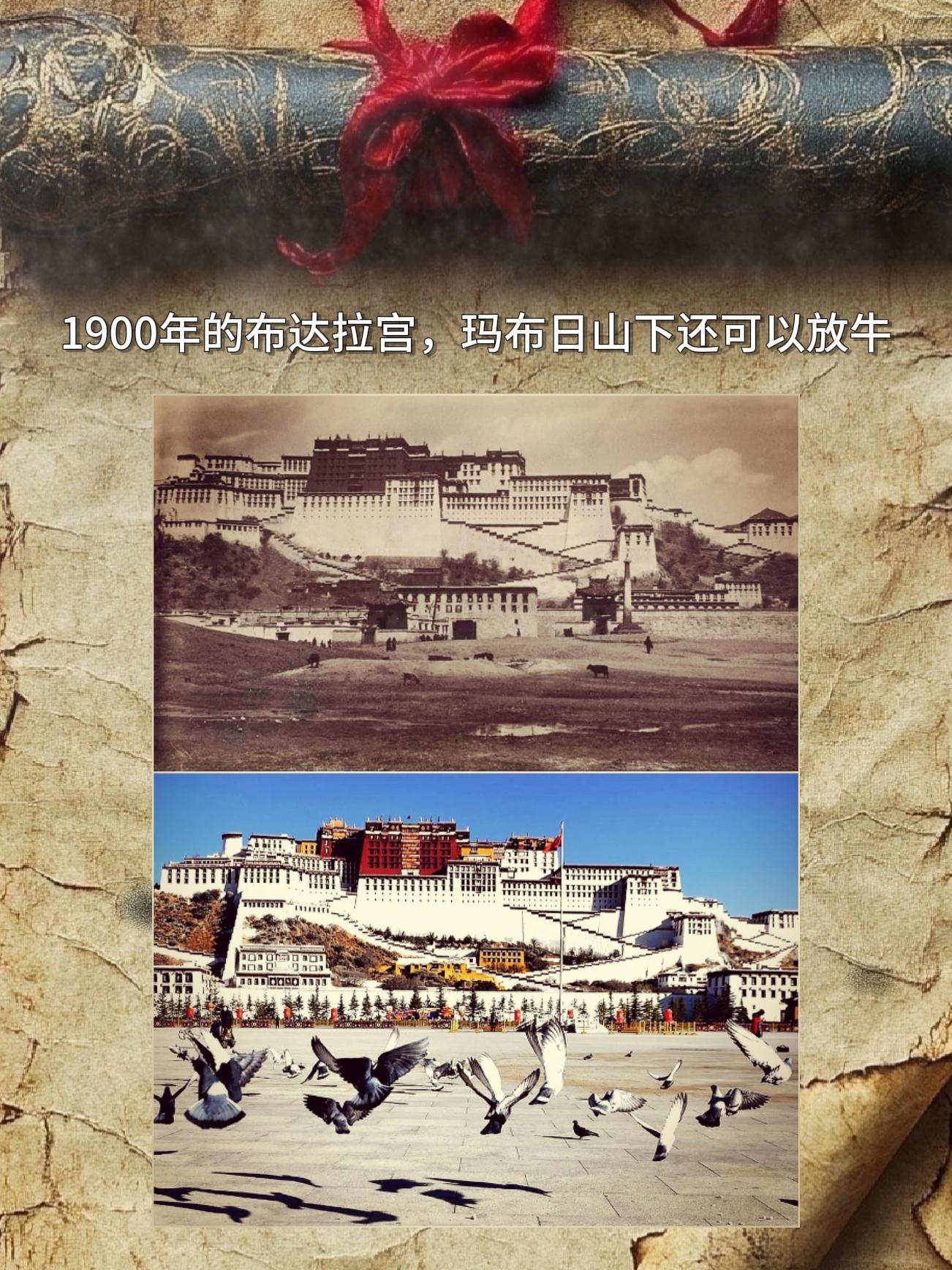翻到一张1900年的布达拉宫老照片，发现当时玛布日山下竟然还能放牛。想...