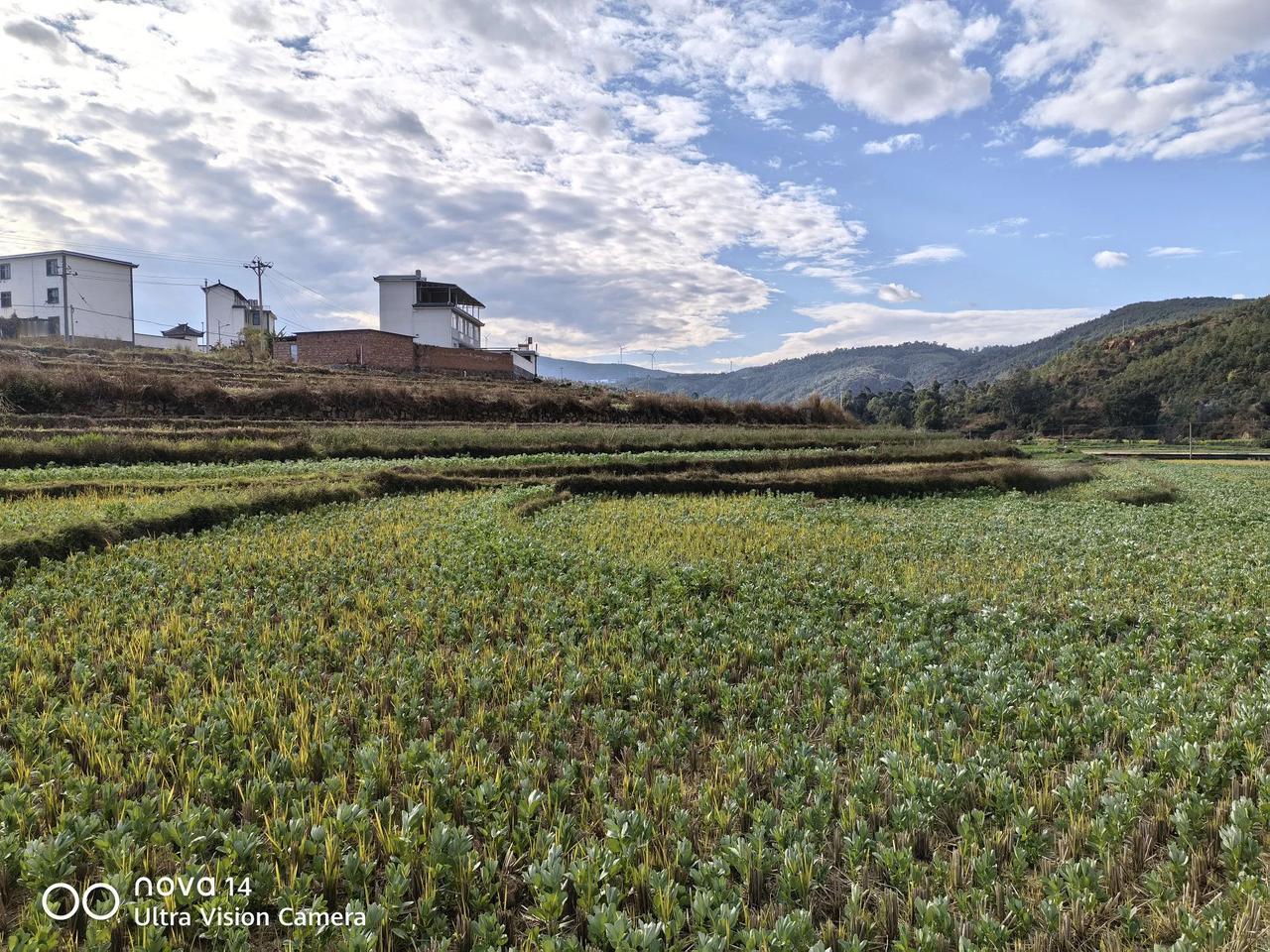 农村的生活是枯燥的，偶尔感受也是有趣的，春天播种，秋天收获，冬天犒劳下辛苦一年的