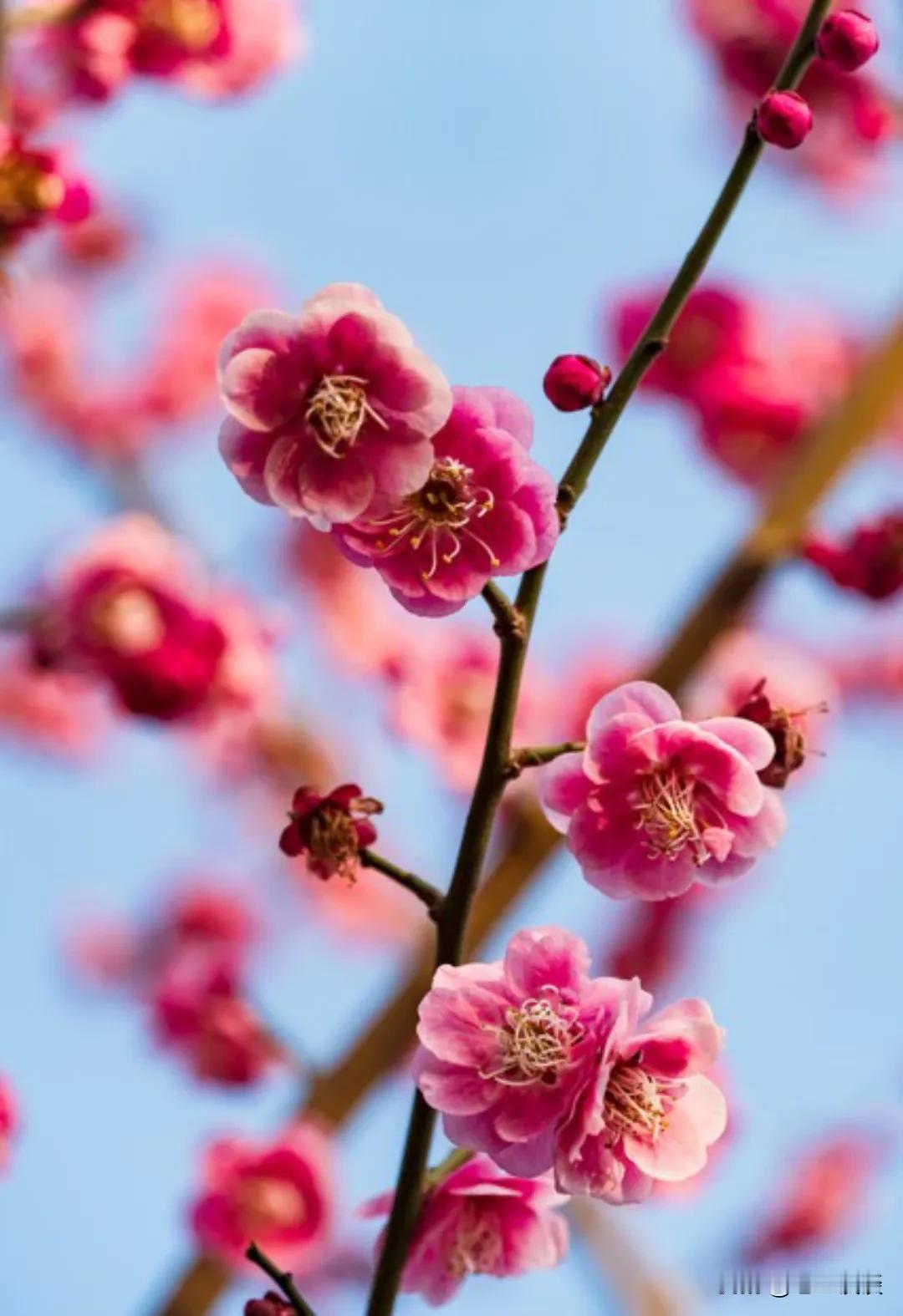 晚年不想被儿女嫌弃，坚决不做这5件事。1、不要过度插手儿女的生活。儿女已