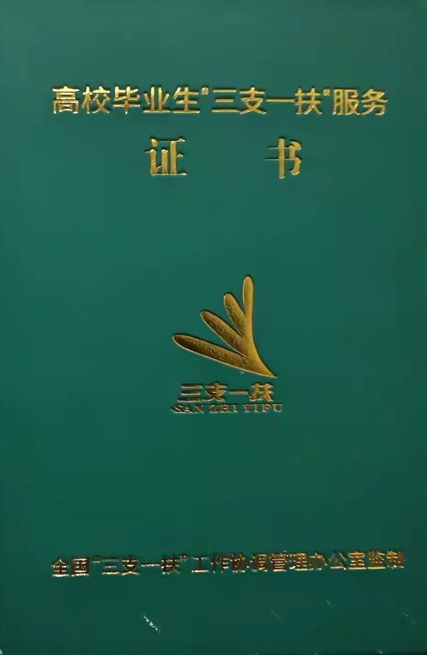 令人心寒！河南三支一扶查实团伙舞弊，负责人任职四年，网友发问：往年招考该不该倒查