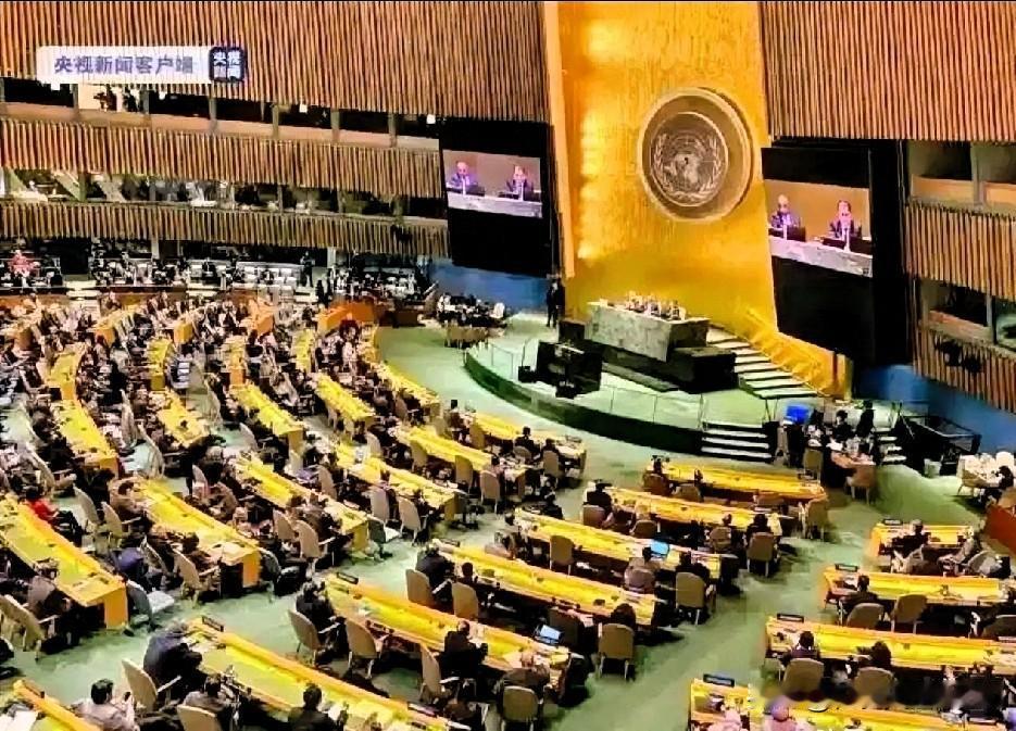 5国全票通过重磅决议！敢杀维和兵=战争罪，中国放出硬话绝不姑息刷到这条消息