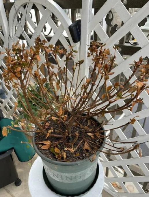运气变差前的5个预兆，建议大家提早防范！